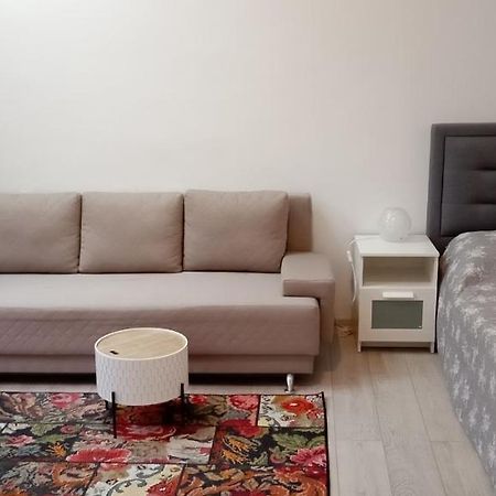 Piata Muzeului 1 Lägenhet Cluj-Napoca Exteriör bild