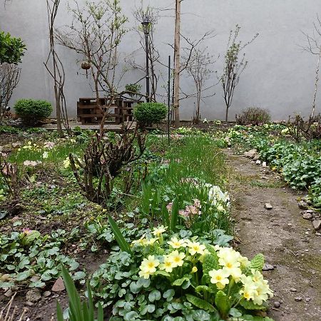 Piata Muzeului 1 Lägenhet Cluj-Napoca Exteriör bild