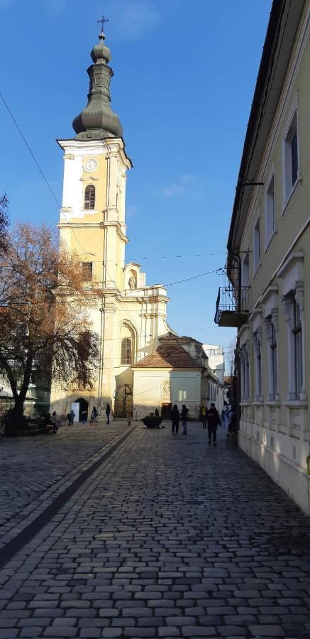 Piata Muzeului 1 Lägenhet Cluj-Napoca Exteriör bild